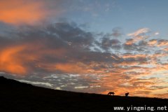 岳麓區(qū)網(wǎng)站建設(shè)企業(yè)如何選擇